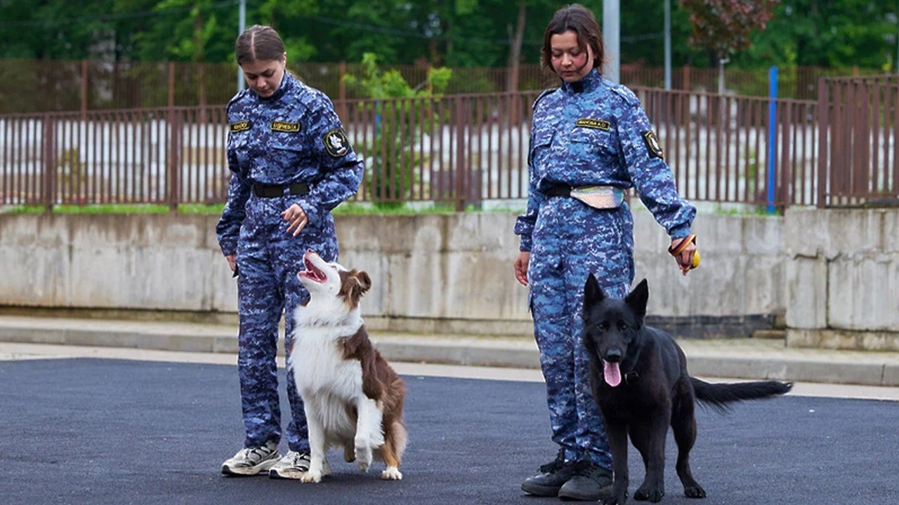 Кинологи и их напарники отметили профессиональный праздник Кинологи и их напарники отметили профессиональный праздник