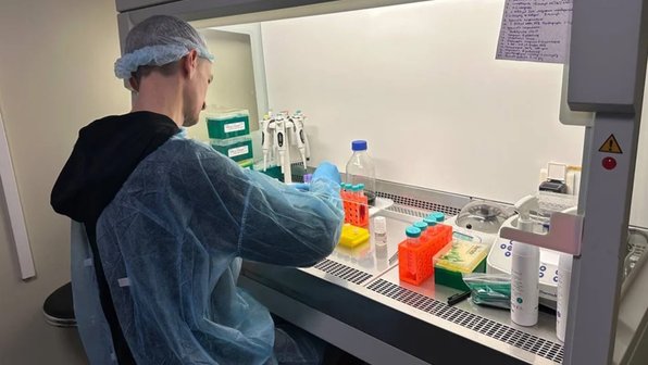 Ученые из Москвы и Приморья первыми в мире расшифруют геном морских животных