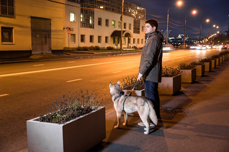 Во время прогулок подводите собаку к проезжей части — приучайте животное к оживленной улице.