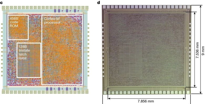 Чип PlasticARM от Arm не самый быстрый и не самый эффективный, но самый гибкий. Фото: ARM