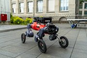 Робот-собака на колесах