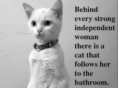 За каждой сильной и независимой девушкой стоит кошка, которая следует за ней до ванной комнаты.