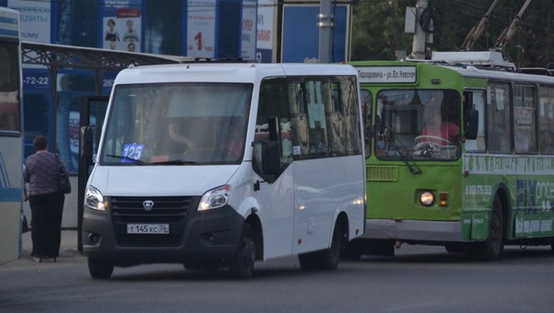 Фашисты в воронеже фото