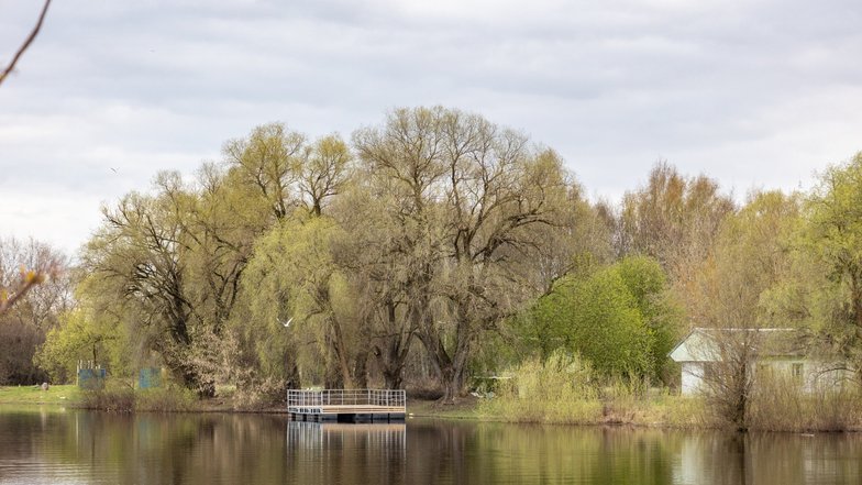 Старая Русса