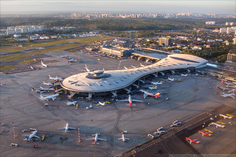 Фото: аэропорт Внуково, Марина Лысцева