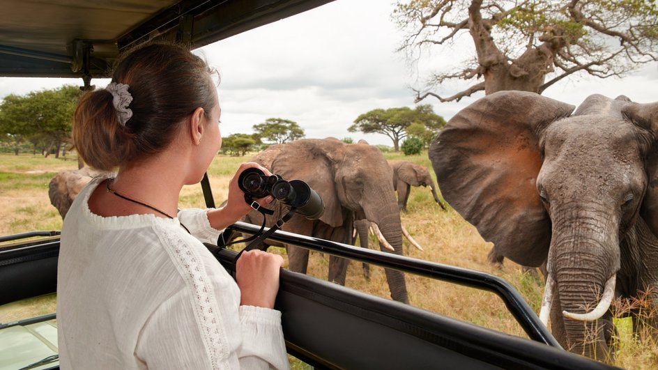 Девушка-Водолей путешествует по Африке и рассматривает слонов 