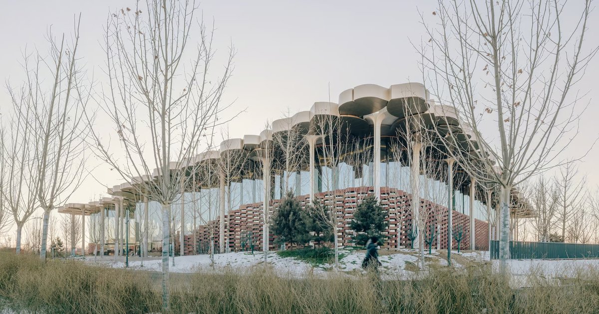 В Пекине открыли необычную библиотеку: она имитирует природный ландшафт