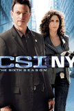 Постер CSI: Место преступления Нью-Йорк: 6 сезон