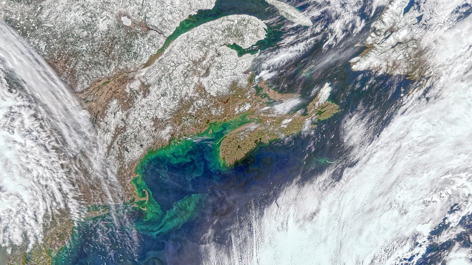 Прибор NASA Ocean Color Instrument на спутнике PACE запечатлел цветение фитопланктона в заливе Мэн в апреле 2024 года. Микроводоросли питают зоопланктон, который в свою очередь становится кормом для китов Прибор NASA Ocean Color Instrument на спутнике PACE запечатлел цветение фитопланктона в заливе Мэн в апреле 2024 года. Микроводоросли питают зоопланктон, который в свою очередь становится кормом для китов