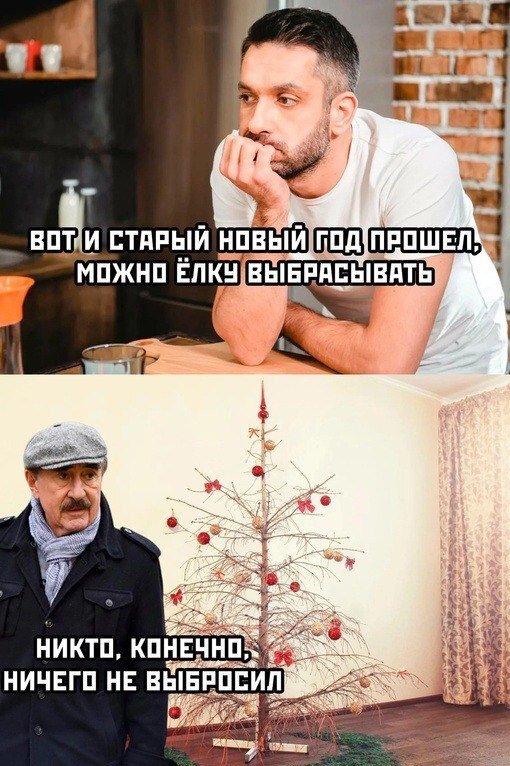 В верхнем кадре изображен мужчина в белой футболке, который сидит, подперев голову рукой, и выглядит задумчивым. На этом кадре текст: "Вот и старый новый год прошел, можно ёлку выбрасывать". В нижнем кадре изображен Леонид Каневский в кепке и пальто, стоящий рядом с высохшей новогодней ёлкой, на которой висят несколько красных шаров. На полу под ёлкой лежит немного зелени, изображающей траву. На этом кадре текст: "Никто, конечно, ничего не выбросил" В верхнем кадре изображен мужчина в белой футболке, который сидит, подперев голову рукой, и выглядит задумчивым. На этом кадре текст: "Вот и старый новый год прошел, можно ёлку выбрасывать". В нижнем кадре изображен Леонид Каневский в кепке и пальто, стоящий рядом с высохшей новогодней ёлкой, на которой висят несколько красных шаров. На полу под ёлкой лежит немного зелени, изображающей траву. На этом кадре текст: "Никто, конечно, ничего не выбросил"