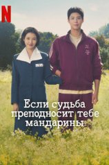 Постер сериала «Когда жизнь дает тебе мандарины»