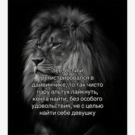 Черно-белая фотография льва с надписью «Лев, если и регистрировался в дайвинчике, то так число пару альтух лайкнуть, кента найти, без особого удовольствия, не с целью найти себе девушку» Черно-белая фотография льва с надписью «Лев, если и регистрировался в дайвинчике, то так число пару альтух лайкнуть, кента найти, без особого удовольствия, не с целью найти себе девушку»