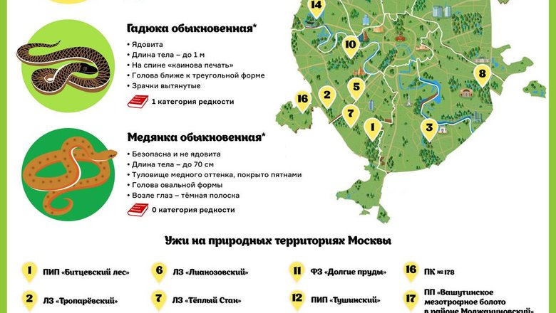 Нажмите, чтобы увеличить Нажмите, чтобы увеличить