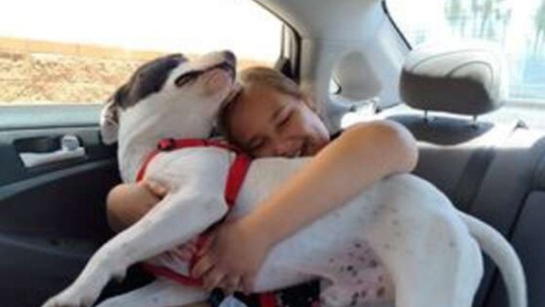 Мама исполнила желание 10-летней дочки и взяла из приюта собаку