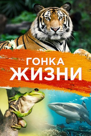 Постер «Гонка жизни»