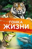 Постер undefined: 1 сезон