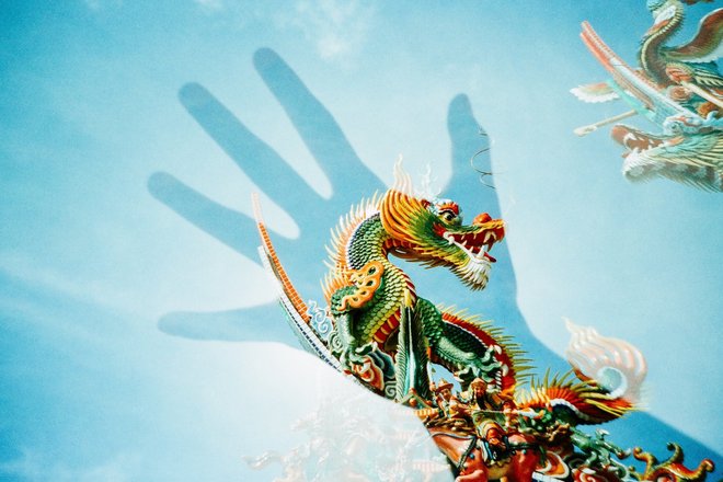 Зеленый дракон (источник: unsplash) Зеленый дракон (источник: unsplash)