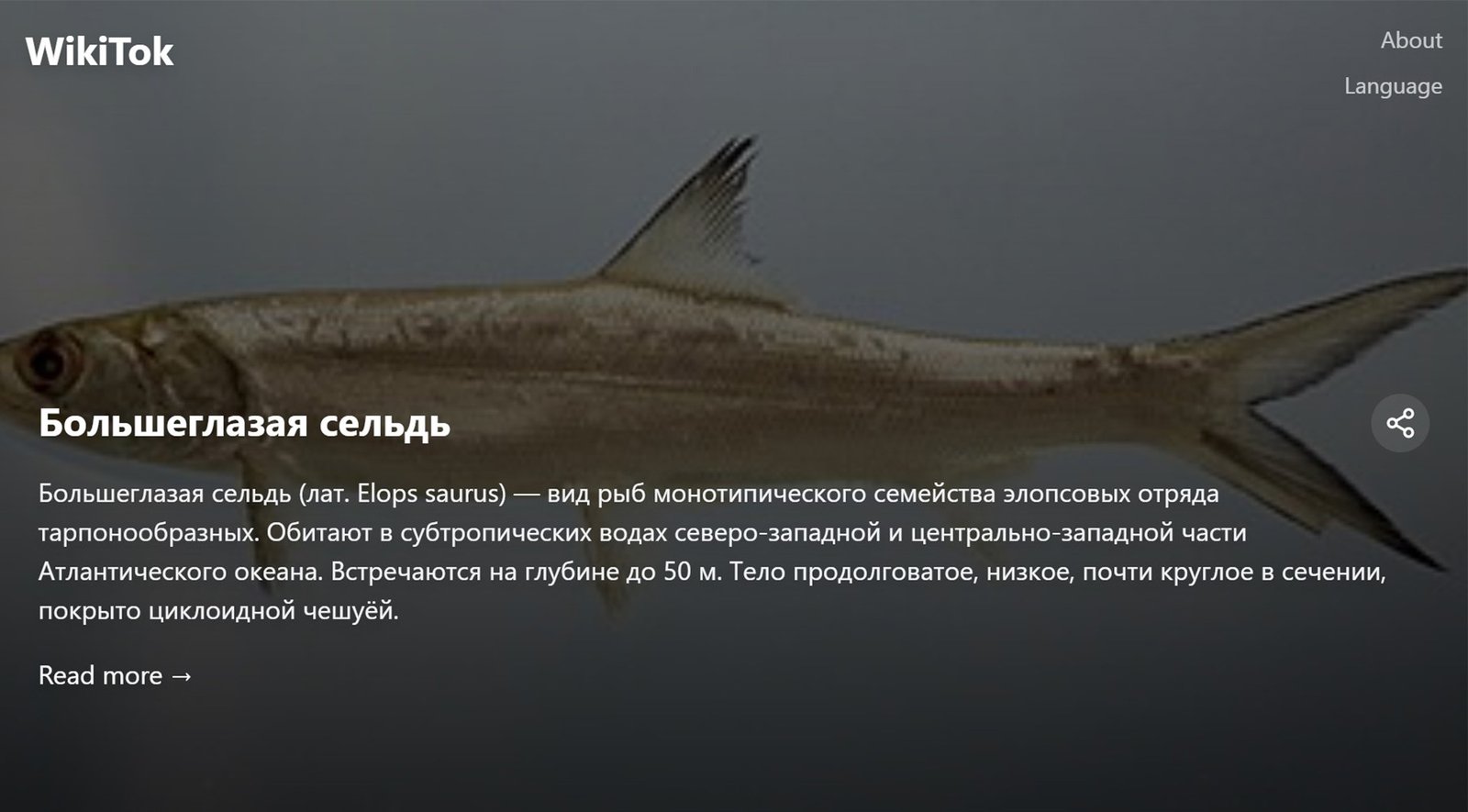 Пример работы сайта