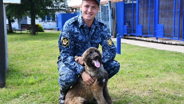 В костромской колонии оказались 5 щенков бельгийской овчарки