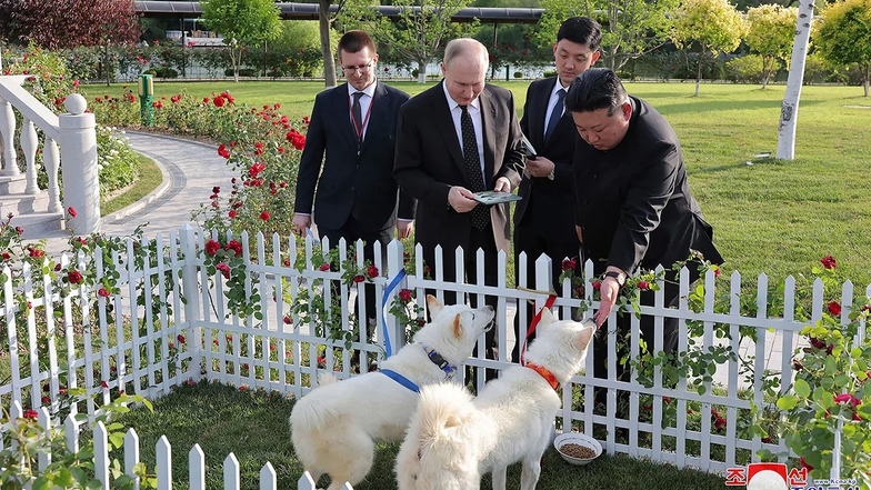 Питомцы Питомцы