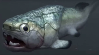 Так могла выглядеть рыба ГоуГоу. Фото: Science