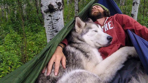 9 доказательств, что собака вам доверяет