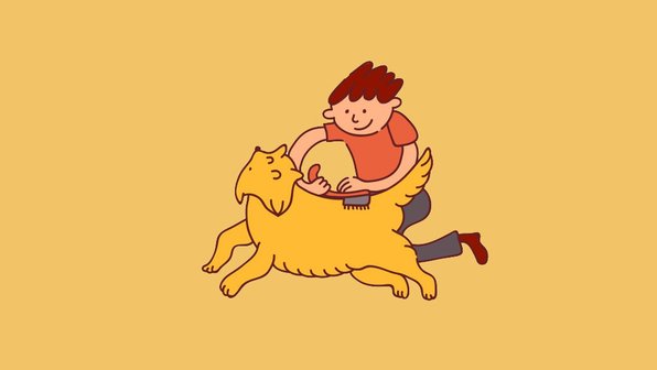 Отдача не замучает, или Как передать питомца другому хозяину