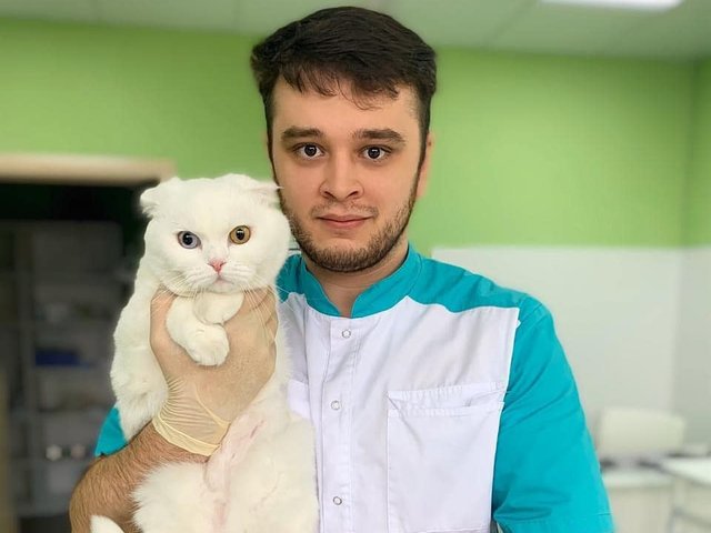 Как ветеринар из Челябинска спасает животных из «усыпалки»