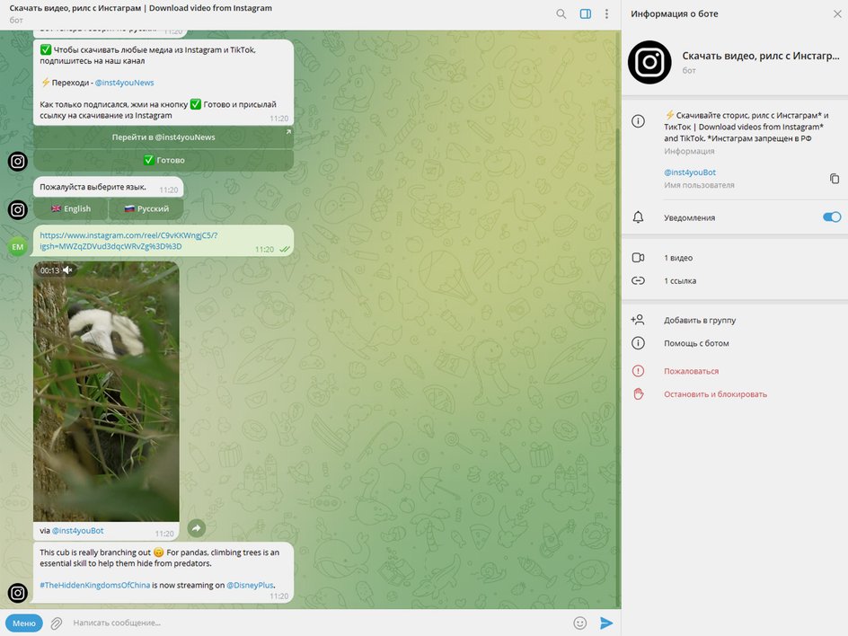 Скриншот диалога с телеграм-ботом Inst4YouBot