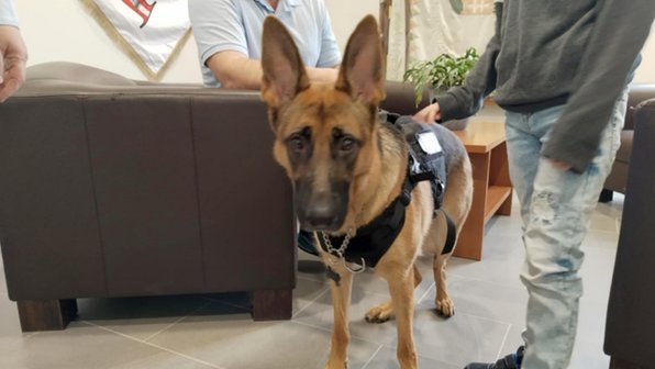 Мужчина со слезами поблагодарил собаку за спасение своей мамы