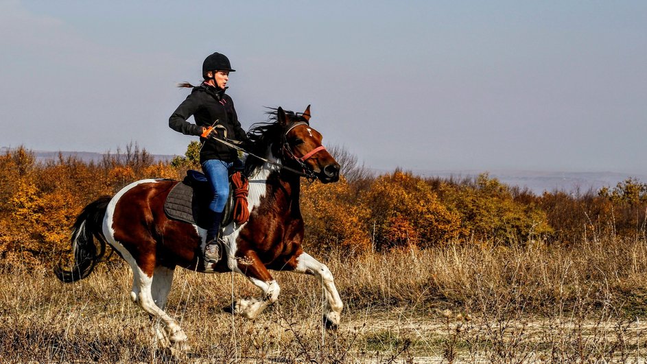 Женщина-Скорпион занимается верховой ездой во время идеального отдыха по гороскопу