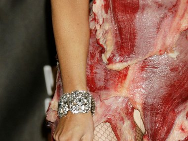 Slide image for gallery: 14863 | Леди Гага в платье из мяса