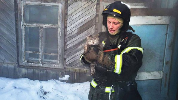 «Услышали жалобное мяуканье»: в Приамурье пожарные спасли кота
