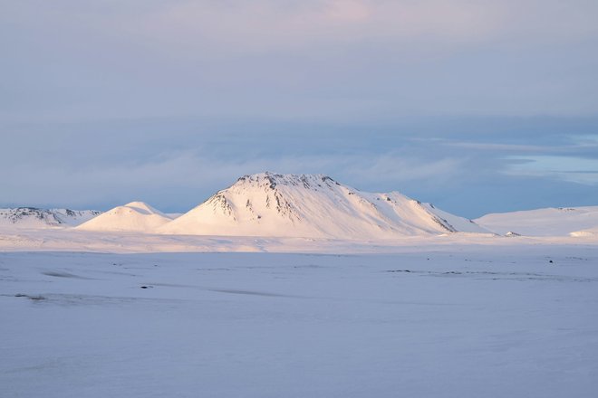 Арктика виджет Арктика виджет