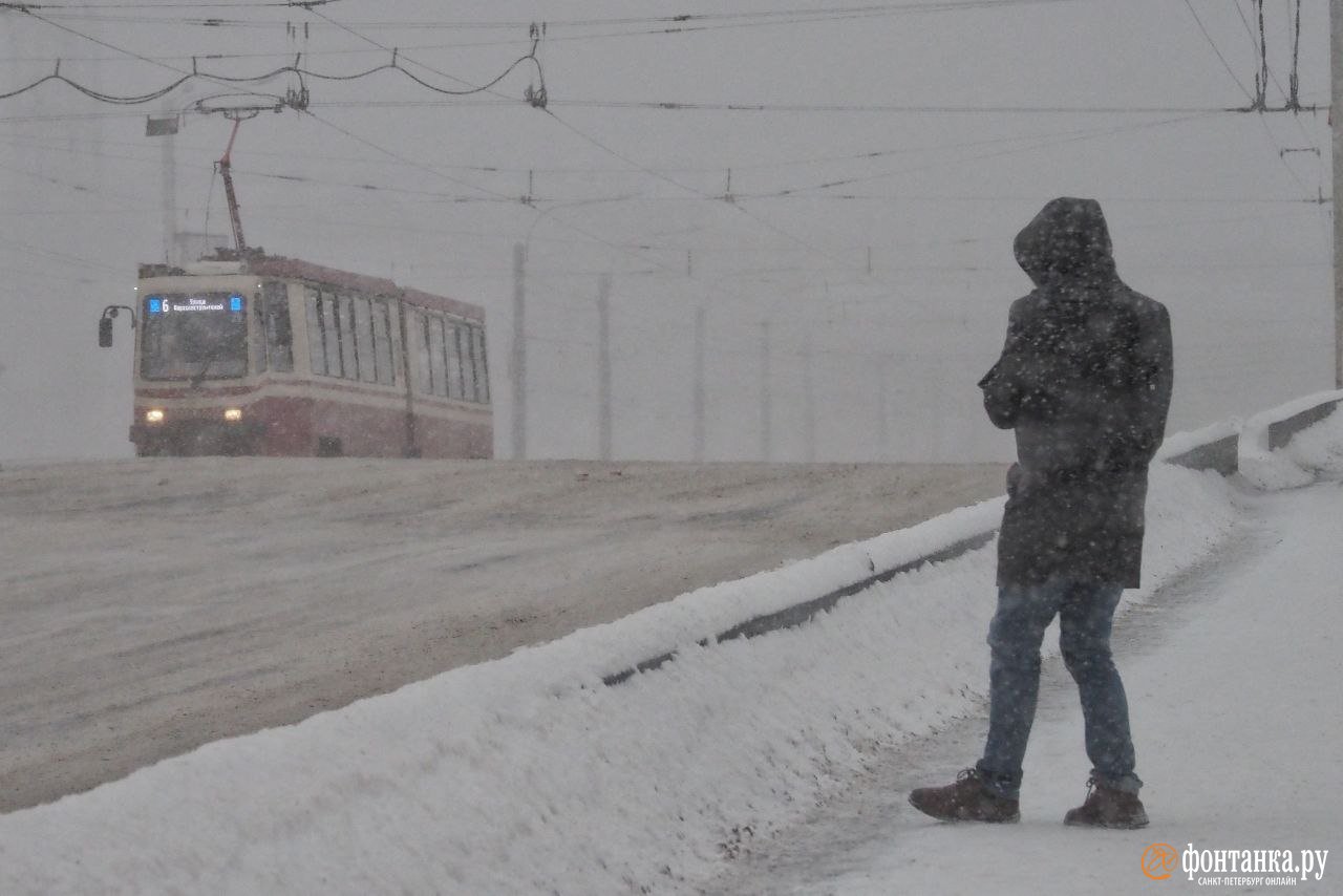 Заметённый Петербург: люди прячутся от ветра, на пригородных трассах едва  не сдувает машины - Погода Mail.ru