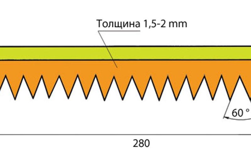 Блог Леры Царевой