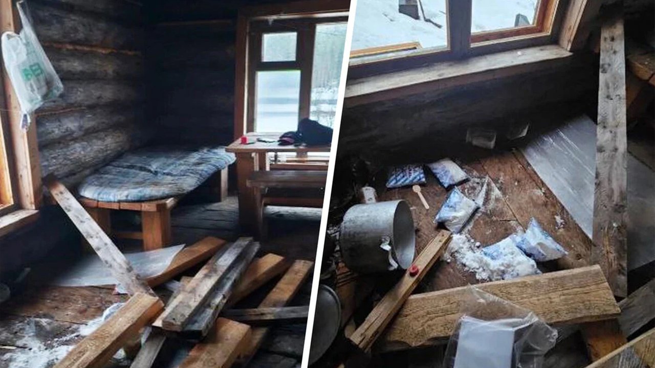 В Пермском крае медведь забрался в дом, выбил дверь и погрыз лампочки В Пермском крае медведь забрался в дом, выбил дверь и погрыз лампочки