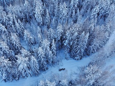 slide image for gallery: 27656 | Национальный парк «Койгородский»