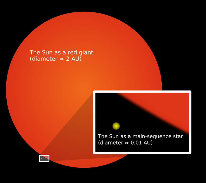 Сравнительные размеры Солнца в настоящее время и красного гиганта. Фото: Wikimedia / Oona Räisänen / CC BY-SA 3.0