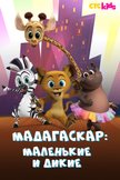 Постер Мадагаскар: Маленькие и дикие: 1 сезон