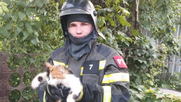 В Ливнах спасатели помогли кошке, пережившей 7 бед