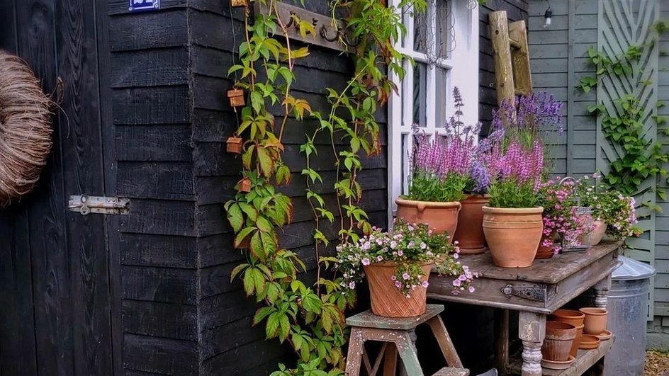 8 красивых и милых идей для обустройства мини-сада на даче