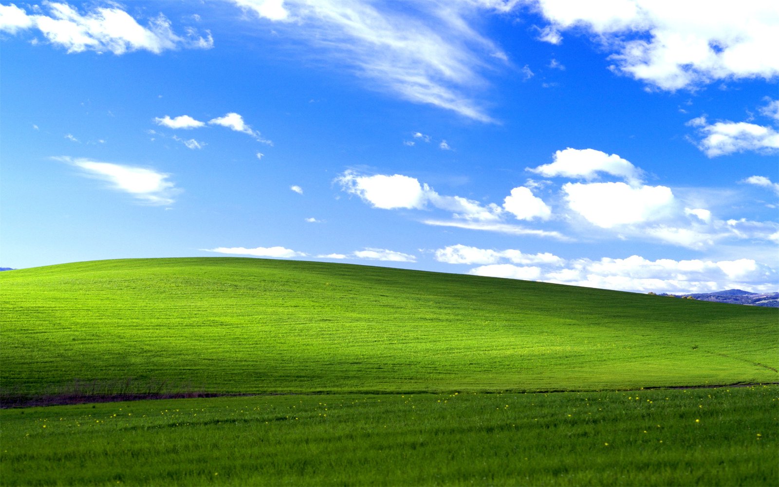 Windows XP смогли запустить на процессоре 35-летней давности - Hi-Tech  Mail.ru