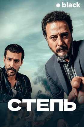 Степь: постер