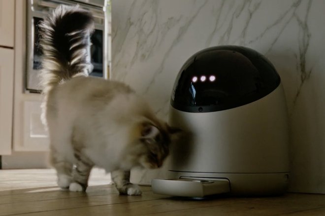 Умная кормушка Sphinx S1