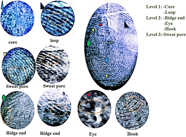 Образцы отпечатков пальцев нанокомпозитного порошка