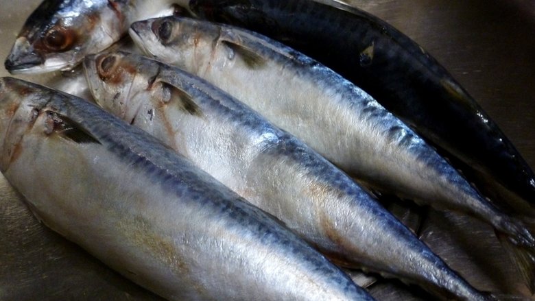 Рыбные ландорики из горбуши — рецепт с фото | Рецепт | Еда, Кулинария, Легкая еда