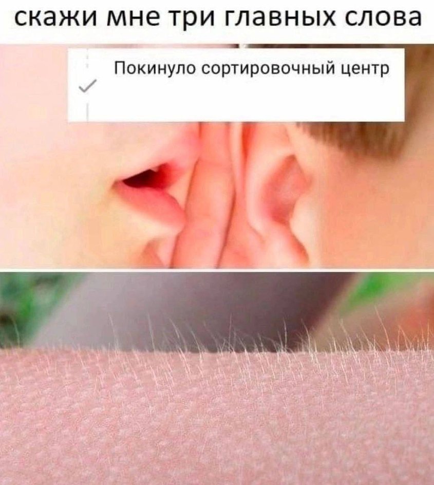 Бежим Бежим