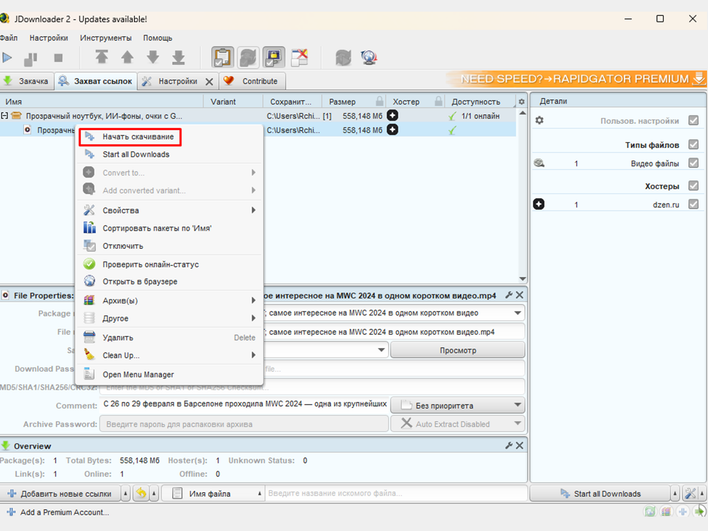 Программа JDownloader с всплывающими параметрами Программа JDownloader с всплывающими параметрами