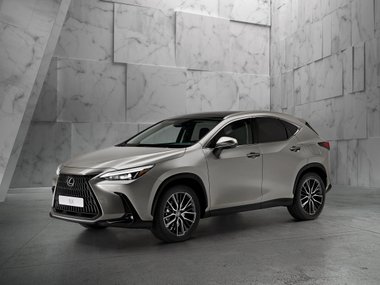 slide image for gallery: 28463 | Lexus NX